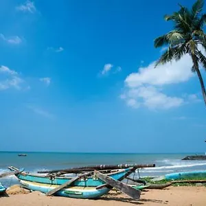 Pensión Aloe Vera, Negombo